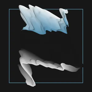 Apparitions #28000320